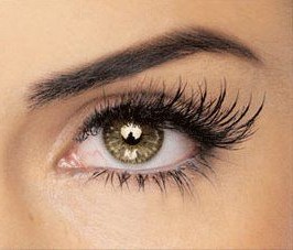 A close of up a womans eye with the Novalash Eye Essentials
